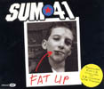 Sum 41 - Fat Lip