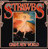 Strawbs - Grave New World